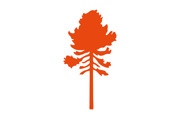 PINEWOOD