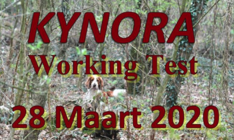 Hubertus Gold is aanwezig bij: Kynora Working Test